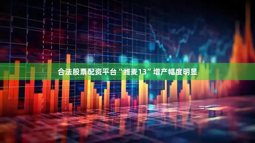 合法股票配资平台“潍麦13”增产幅度明显