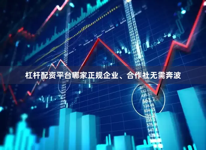 杠杆配资平台哪家正规企业、合作社无需奔波